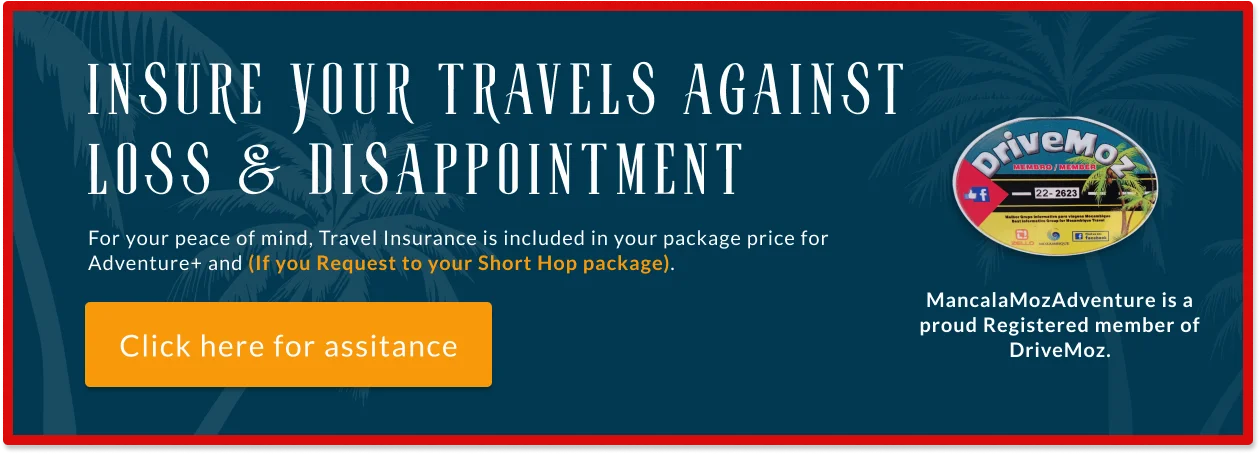 Mancala Moz Adventures Insurance Banner